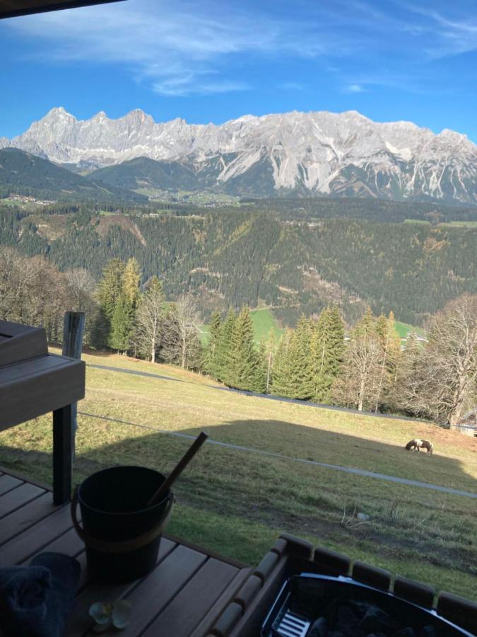 Rubin - Sld600 By Interhome Schladming