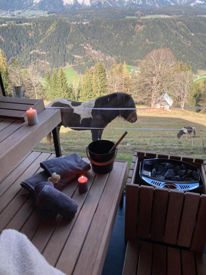Rubin - Sld600 By Interhome * Schladming
